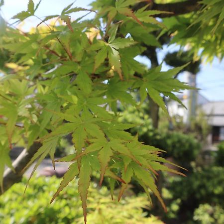 立花荘 Villa Matsuyama  Buitenkant foto