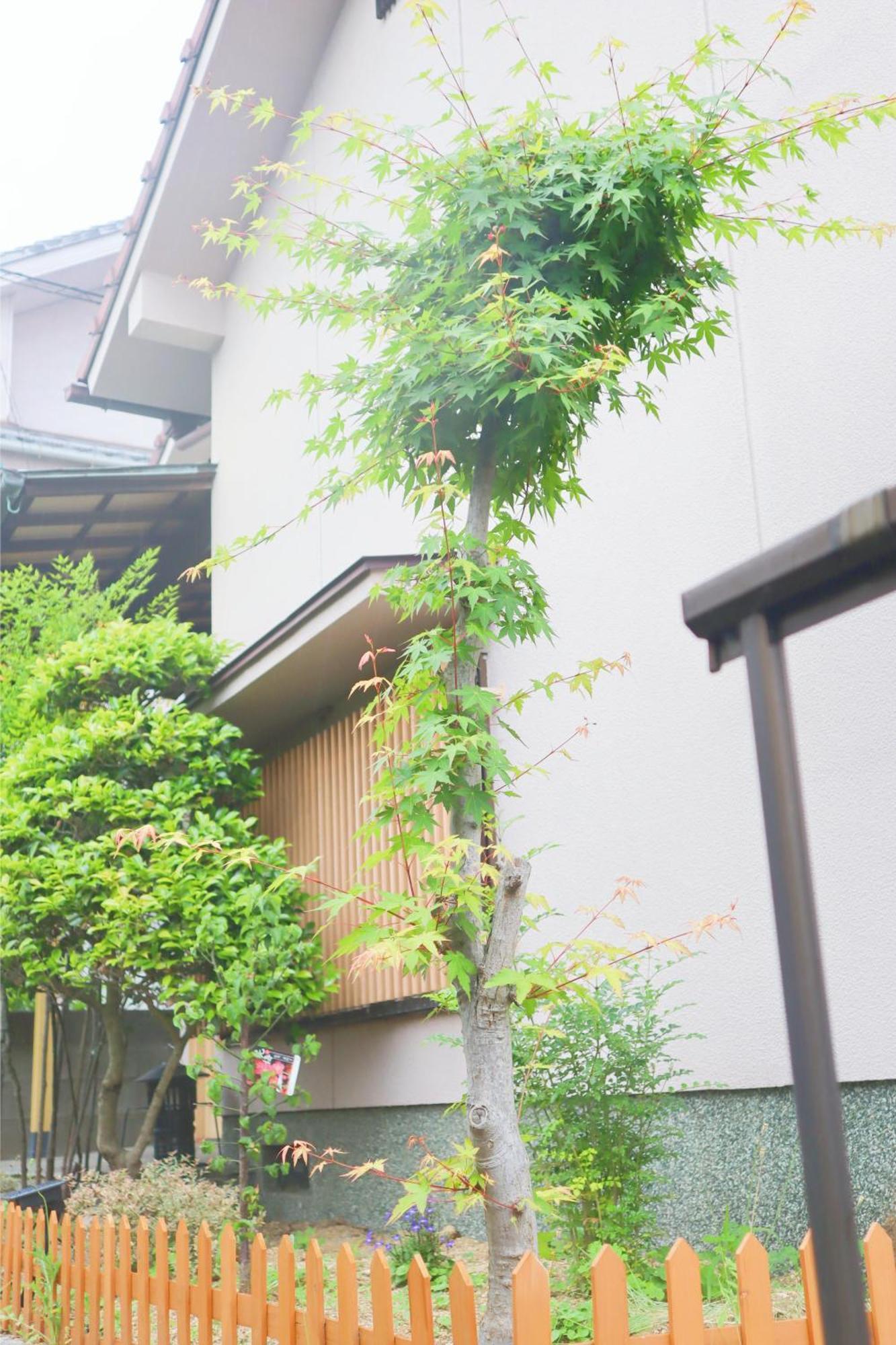 立花荘 Villa Matsuyama  Buitenkant foto